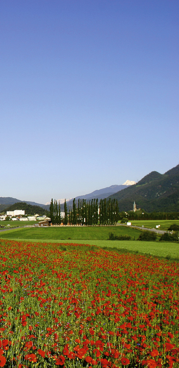 Monfeld bei Domat/Ems, Graubünden