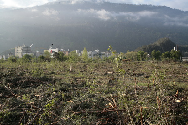 Im Bau, Holzwerk Stallinger in Domat/Ems