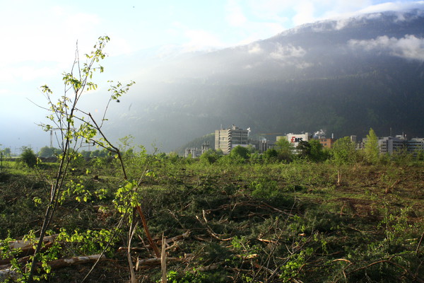 Im Bau, Holzwerk Stallinger in Domat/Ems