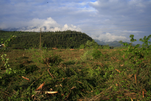 Im Bau, Holzwerk Stallinger in Domat/Ems