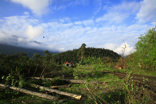 Im Bau, Holzwerk Stallinger in Domat/Ems