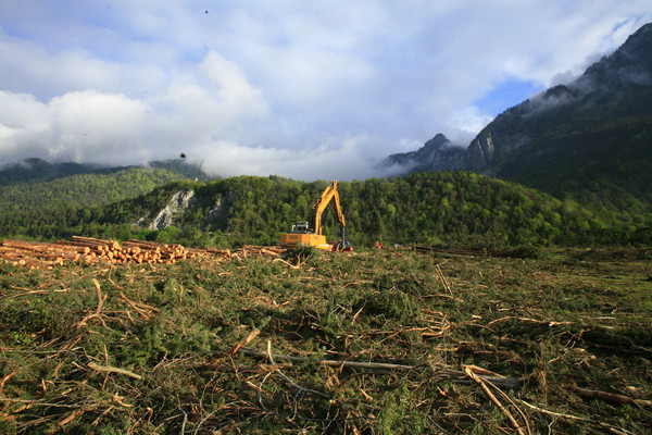 Im Bau, Holzwerk Stallinger in Domat/Ems