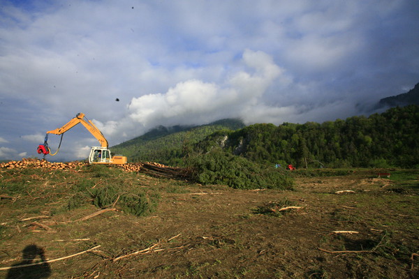 Im Bau, Holzwerk Stallinger in Domat/Ems