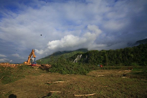 Im Bau, Holzwerk Stallinger in Domat/Ems