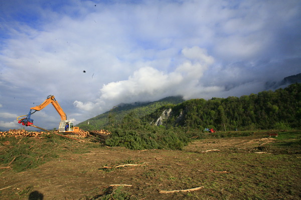 Im Bau, Holzwerk Stallinger in Domat/Ems