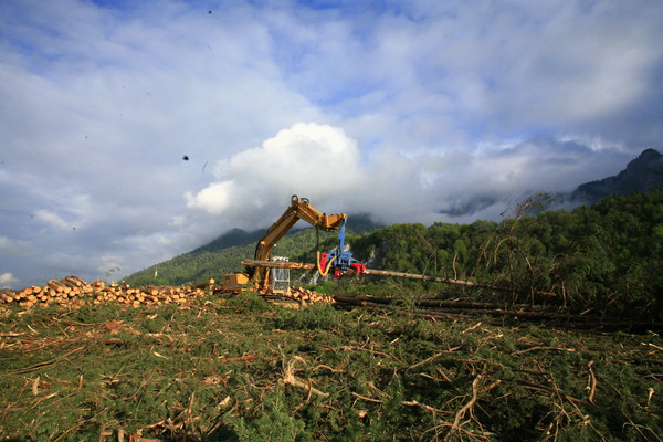 Im Bau, Holzwerk Stallinger in Domat/Ems