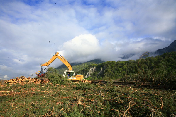 Im Bau, Holzwerk Stallinger in Domat/Ems