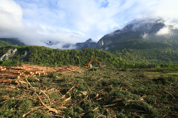 Im Bau, Holzwerk Stallinger in Domat/Ems