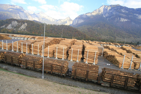 Holzwerk Stallinger in Domat/Ems