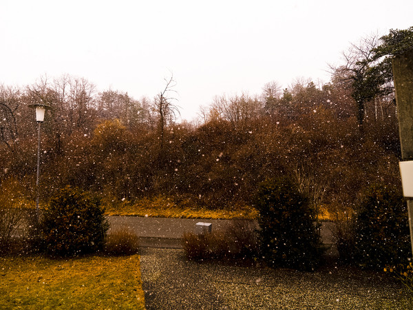 Es schneit in Domat/Ems