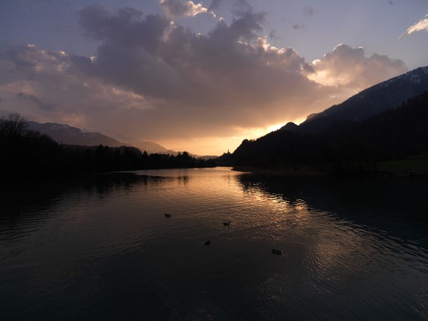 Rhein bei Domat/Ems