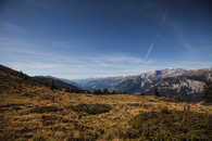 Malixer Alp, Brambrüesch, Graubünden, Schweiz, Switzerland