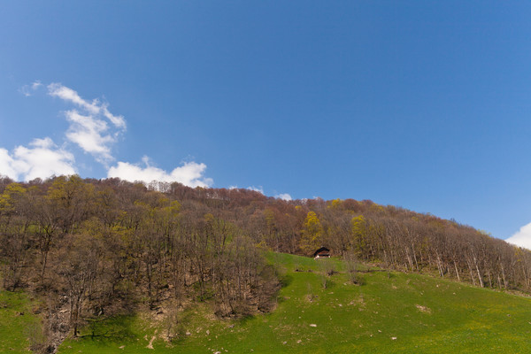 Steinibach bei Elm, Glarus, Schweiz, Switzerland