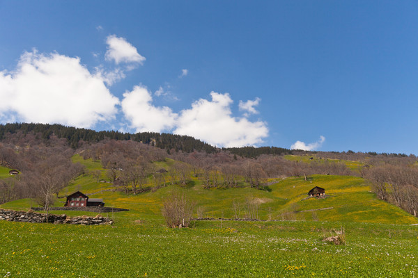 Steinibach bei Elm, Glarus, Schweiz, Switzerland