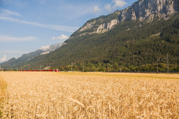 RhB Pendler vor Felsberg