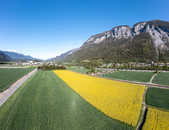 Foto: Felsberg, Rheintal, Graubünden,