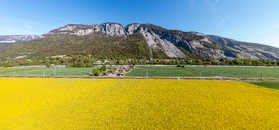 Foto: Felsberg, Rheintal, Graubünden,