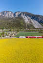 Foto: Felsberg, Rheintal, Graubünden,