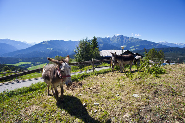 Surselva, Graubünden, Schweiz, Switzerland