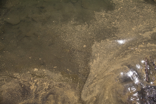 Caumasee in Flims, 2011 mit sehr wenig Wasser