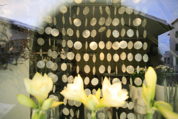 Schaufenster der Flmser Blumengesch?fts