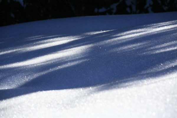 Winterlandschaften bei Flims