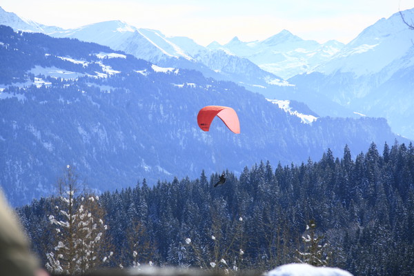 Flims, Laax, Falera, Surselva, Graub?nden, Schweiz, Switzerland