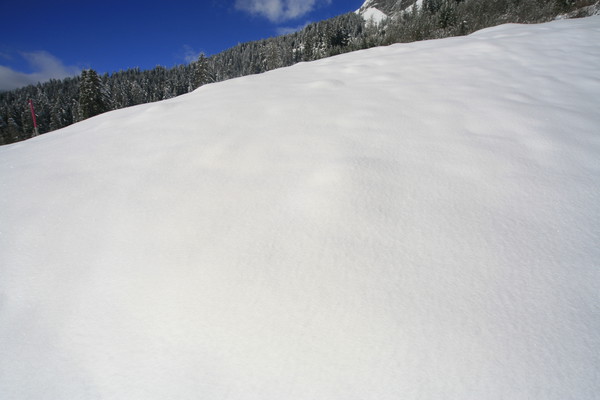 Winterlandschaften bei Flims