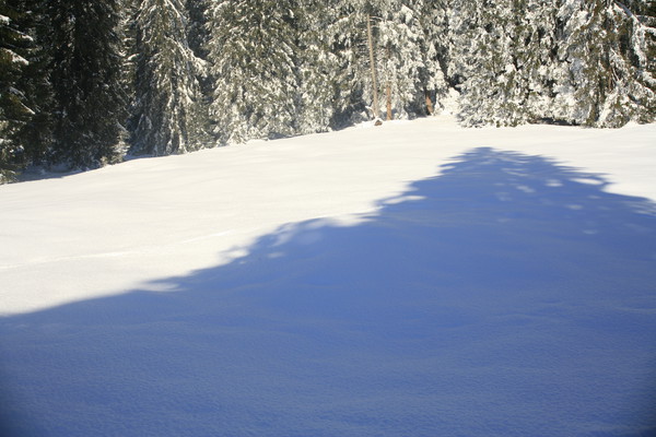 Winterlandschaften bei Flims