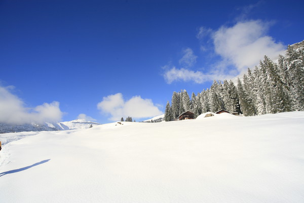 Winterlandschaften bei Flims