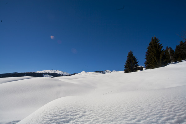 Spaligna oberhalb von Flims