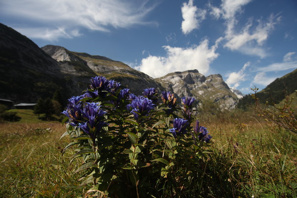 Auf Bargis bei Flims