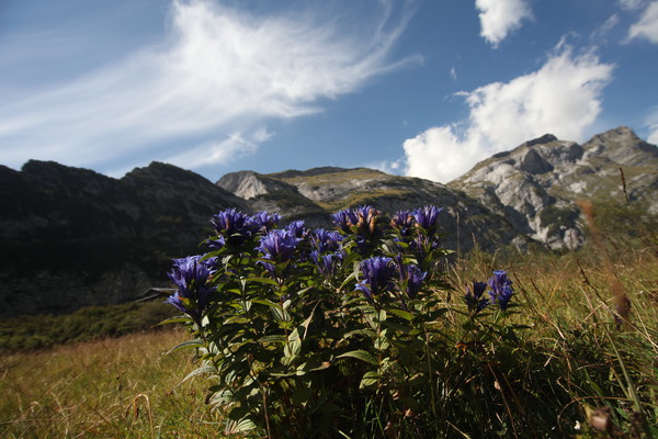 Auf Bargis bei Flims