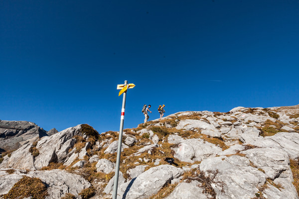 Flims, Laax, Falera, Surselva, Graubünden, Schweiz, Switzerland