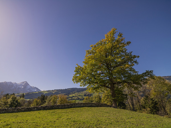 Perfekter Herbsttag bei Fürstenau im Domleschg