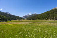 Fuldera, Val Müstair, Engadin, Graubünden, Schweiz
