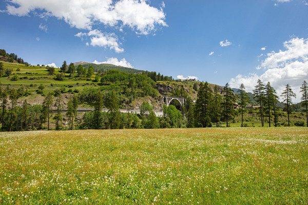 Blick auf Giarsun, Unterengadin, Graubünden