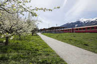 Foto: Igis, Landquart, Rheintal, Graubünden,
