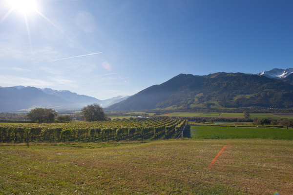 Jenins im Rheintal, Bündner Herrschaft, Graubünden