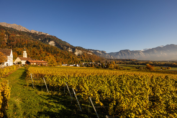 Herbststimmung mit langen Schatten im Weinbaudorf Jenins in der Bündner Herrschaft.