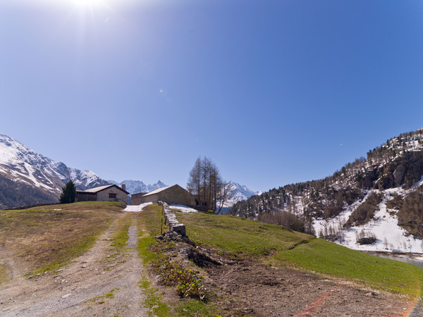 La Motta oberhalb von La Rösa im Val Laguné (Val Poschiavo), Graubünden, Schweiz