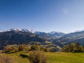Foto: Ladir, Surselva, Graubünden, Schweiz