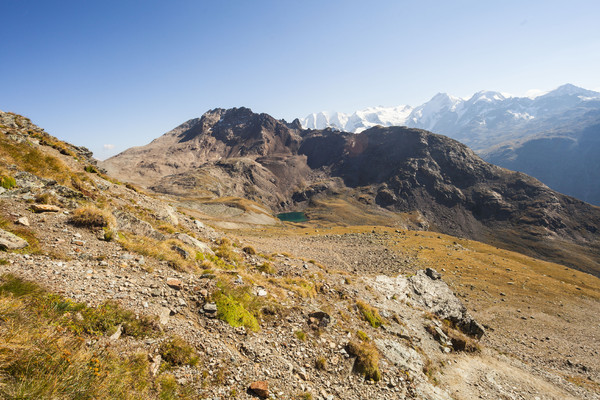 Wandern in der Region vom Piz Languard bei Pontresina, Oberengadin, Engadin, Graubünden, Schweiz, Switzerland, Wandern, Weitsicht
