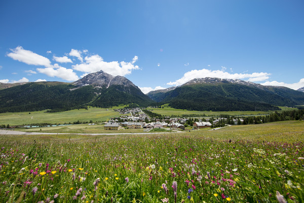 La Punt-Chamues-ch im Oberengadin, Graubünden.