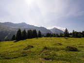 Foto: Sartons, Lenzerheide, Mittelbünden, Graubünden, Schweiz