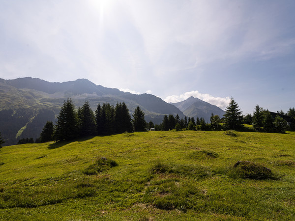 Sartons oberhalb von Parapan auf der Lenzerheide in Graubünden, Schweiz