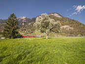 Foto: Malans, Graubünden, Schweiz