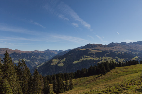 Malixer Alp bei Brambrüesch in Graubünden