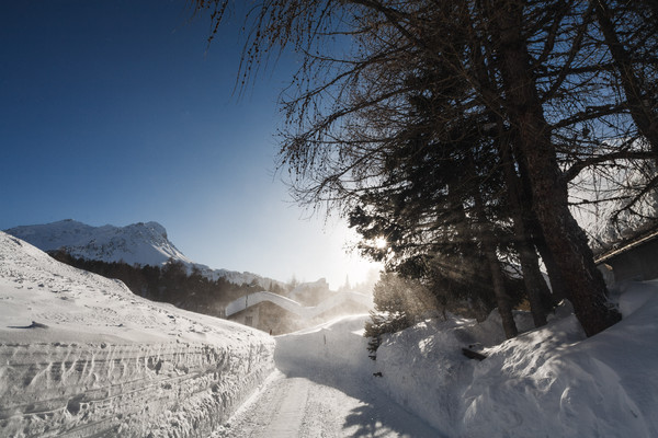 In Maloja im Oberengadin