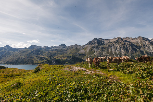 Maloja im Oberengadin in Graubünden, Schweiz